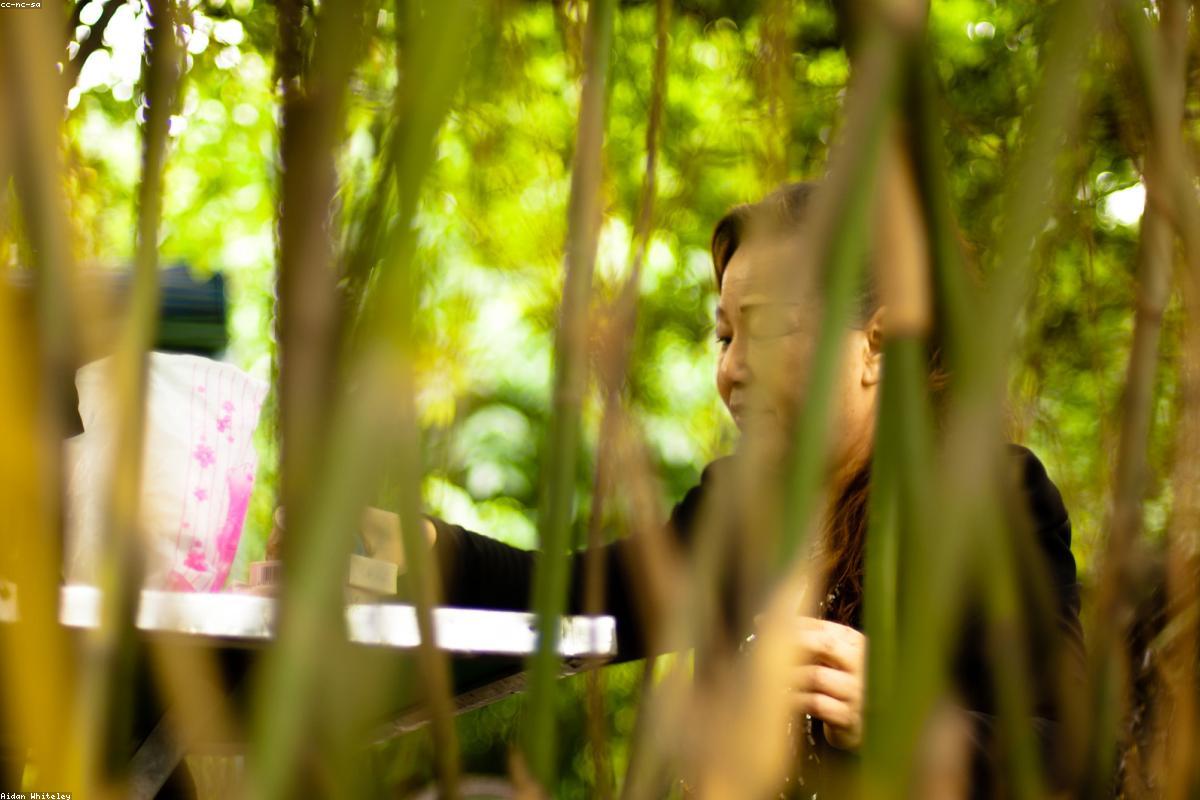 Bamboo Tea Residence